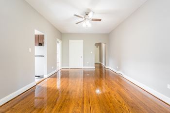 Ceiling fans*